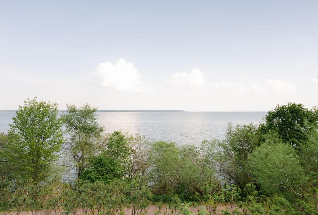 Seagull Bay Motel Бейфилд Номер фото